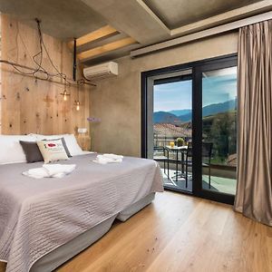 The Superior Room Meteora View